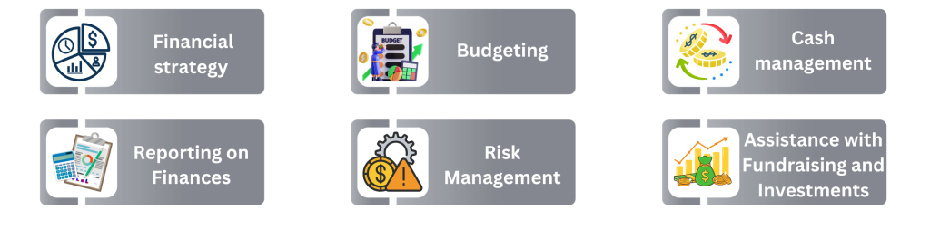 Virtual CFO Responsibility
