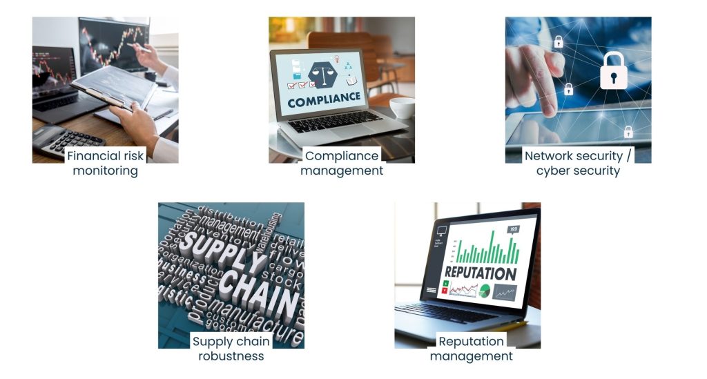 Artificial Intelligence Professional Services and Risk Mitigation