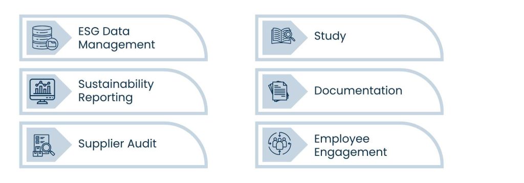 How a Sustainability Virtual Assistant Helps Businesses Go Green and Stay Productive - The Notion of Virtual Assistant for Sustainability