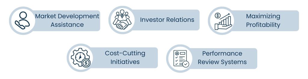 Place Of A Virtual CFO Assistant In Business Growth and Expansion
