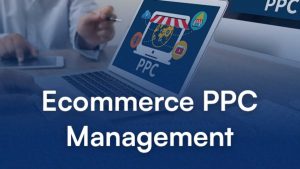 eCommerce PPC Management_ Strategies to Boost Online Sales